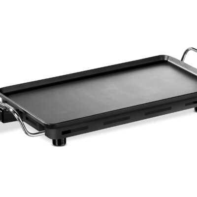 ASADORA PRINCESS 102300 PRO 2000W 460x260
