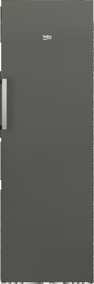 CONG.VER BEKO RFNE290L41GN 171,4x59,5 256L INOX
